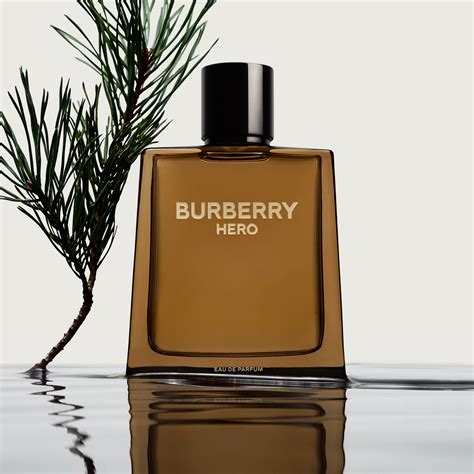 burberry 50ml for men|which Burberry cologne smells best.